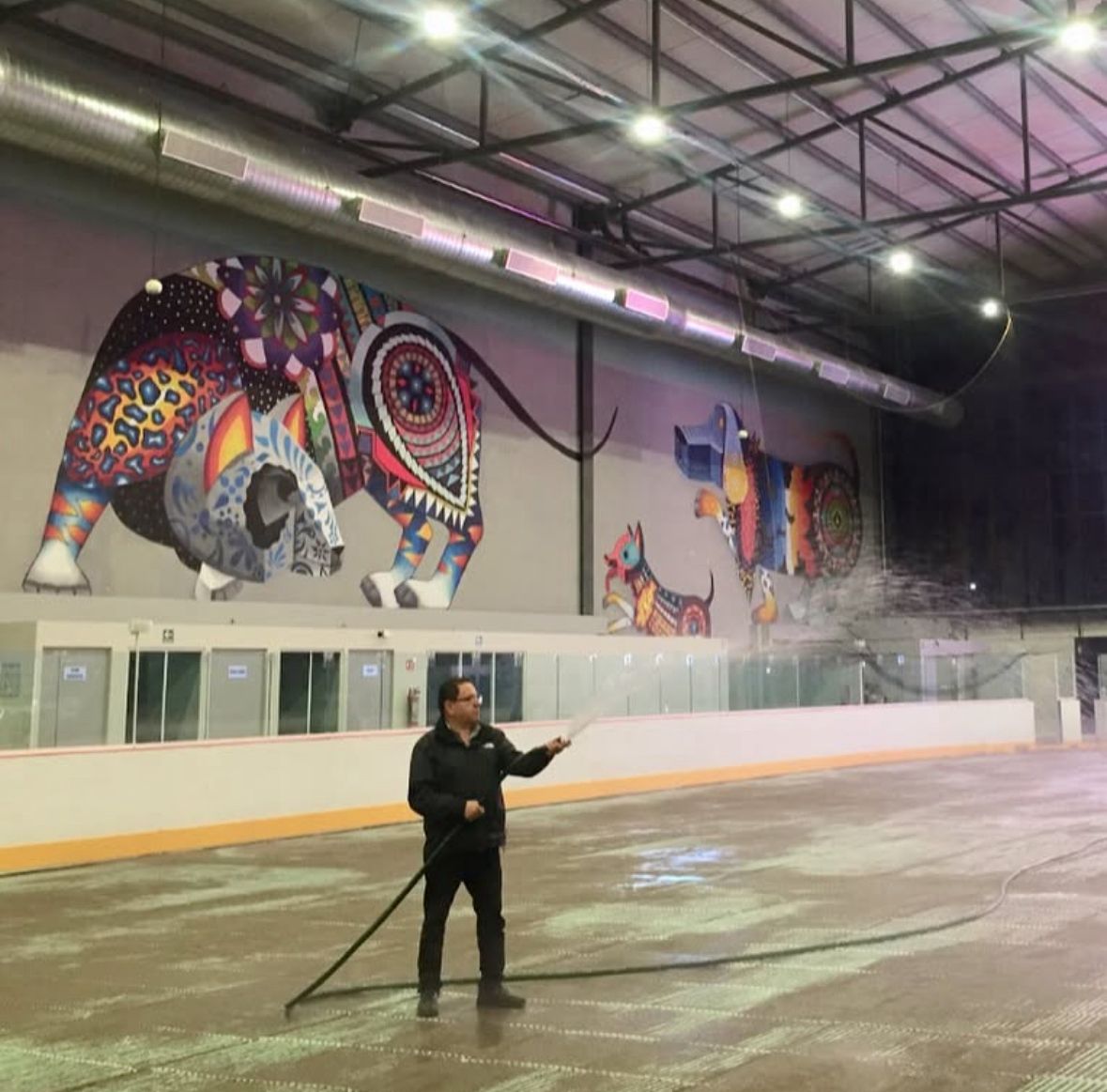 Diseño, Construcción y Operación de Pistas de Hielo y Venta - Image 3